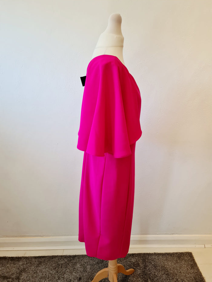 Alba Conde Pink cape dress 16