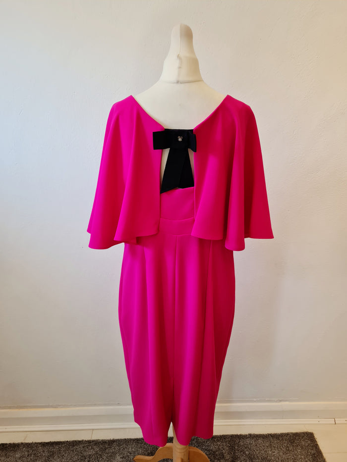 Alba Conde Pink cape dress 16