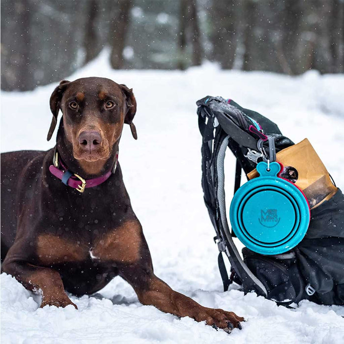 Blue Silicone Collapsible Bowl attached to a backpack.