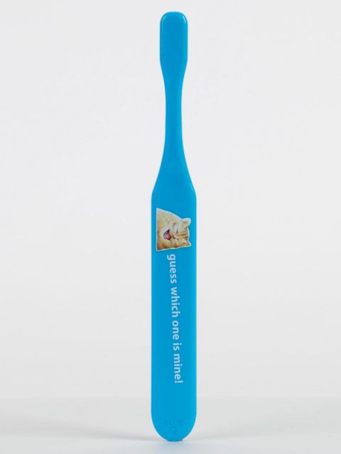 BlueQ "Cat Butt." Toothbrush BLUEQ