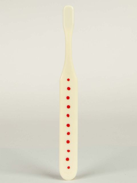 BlueQ "I'm A Country Girl."Toothbrush BLUEQ