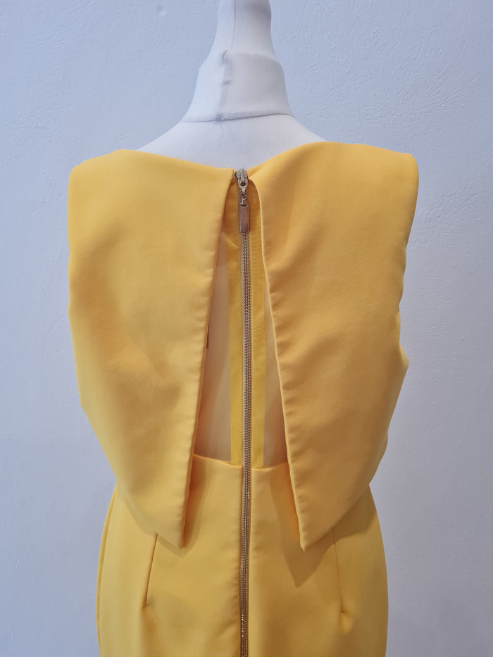 Genese London Yellow overlay Dress 12