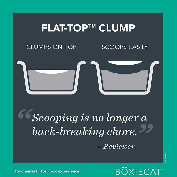 Flat top clump scoops easily.