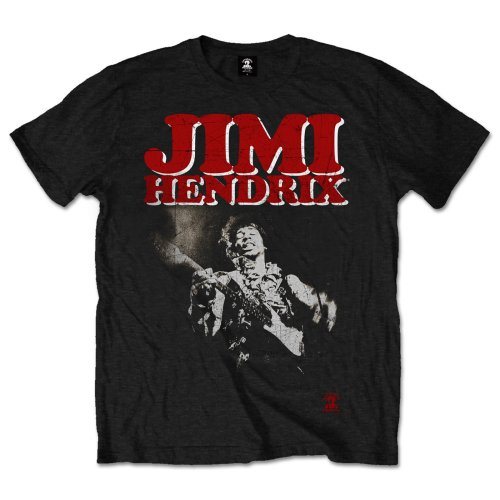 Jimi Hendrix Unisex T-shirt- Block Logo Rock Off