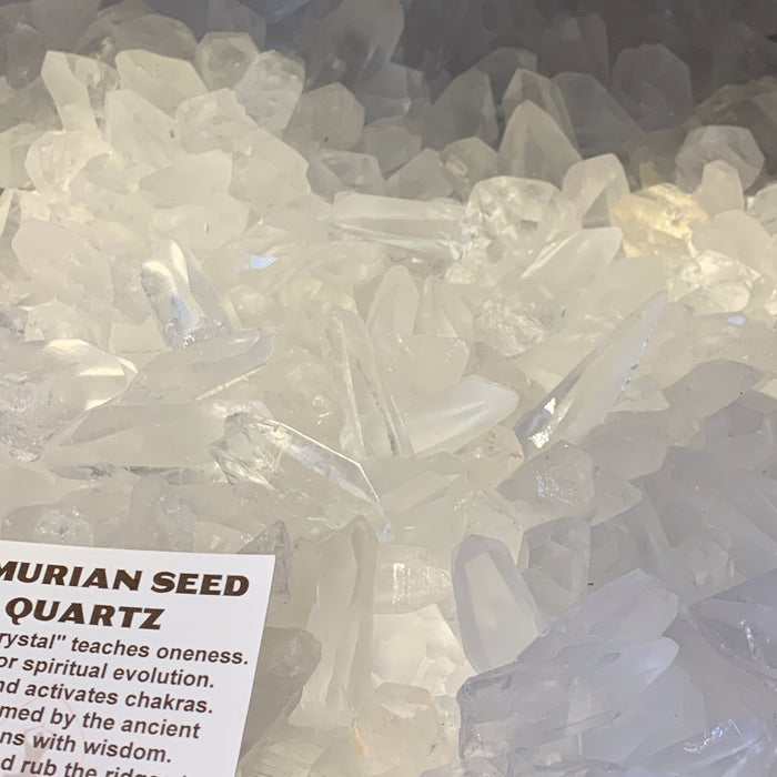 Lemurian Seed Quartz Point