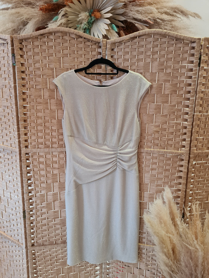 Nueva Gold Sparkle Dress 10