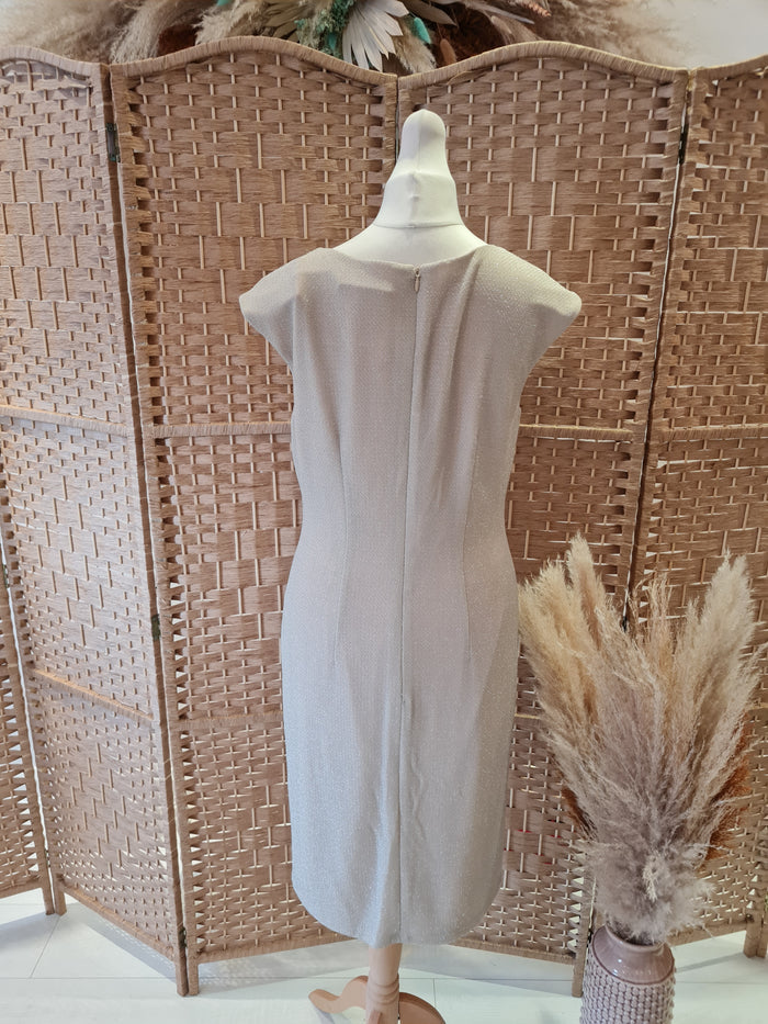 Nueva Gold Sparkle Dress 10