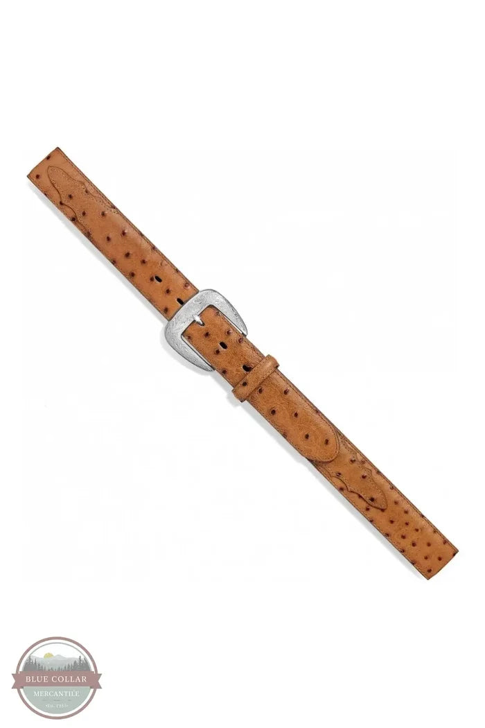 Tony Lama 1377L Ostrich Print Belt, buckle