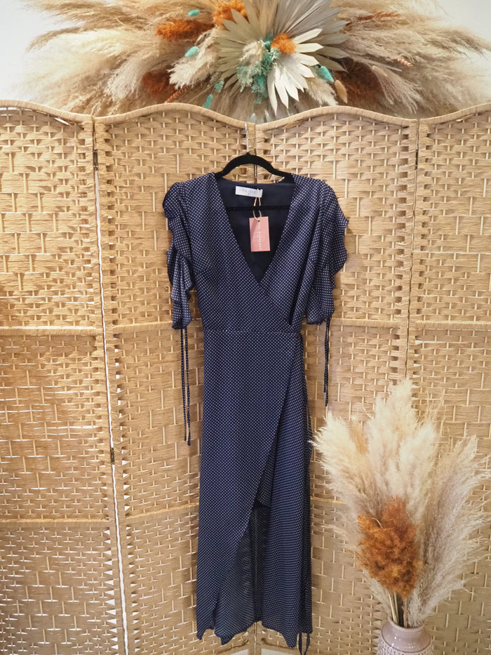 Paisie Navy Spot Dress 8
