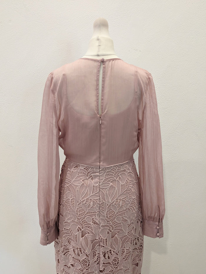 Phase Eight Blush Lace Dress 10