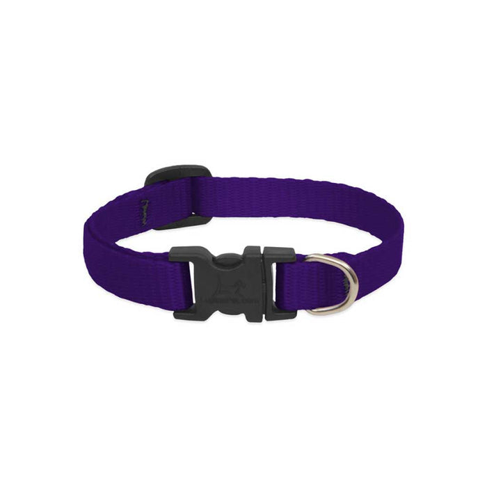 Purple Collar