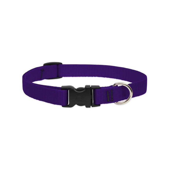 Purple Collar