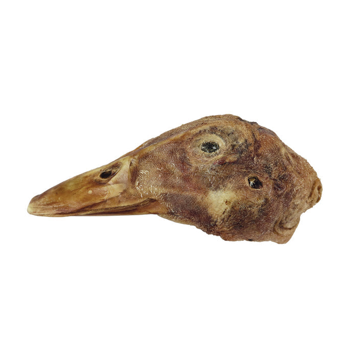Raw freeze-dried Duck Head Dog Treat vital essentials