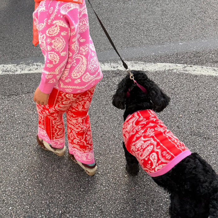 Red and Pink Bandana Dog Jumper on a black dog, walking beside a matching pink bandana print knitted set.