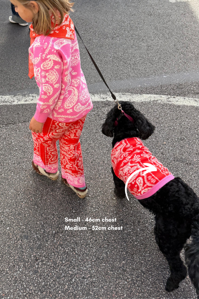 Red and Pink Bandana Dog Jumper in a soft knit on a black dog, with sizing info and a matching iconic kids' outfit.