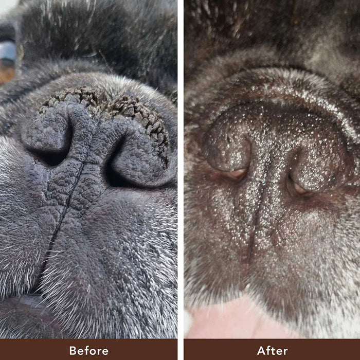 Snout Soother