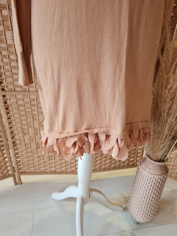 Sonia Fashion Camel jumper dress 12