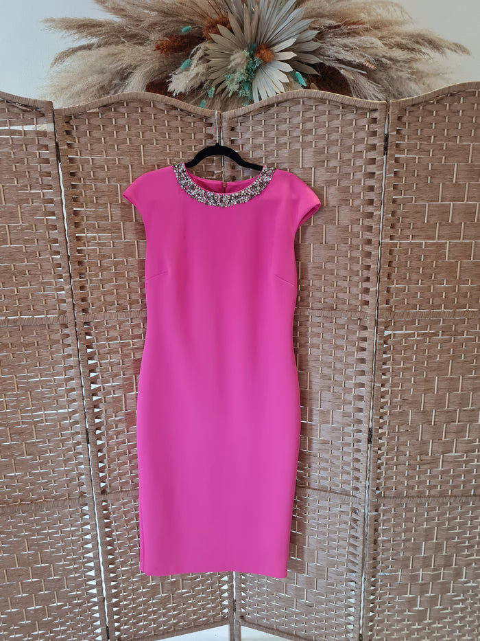 Ted Baker Pink Dress 4