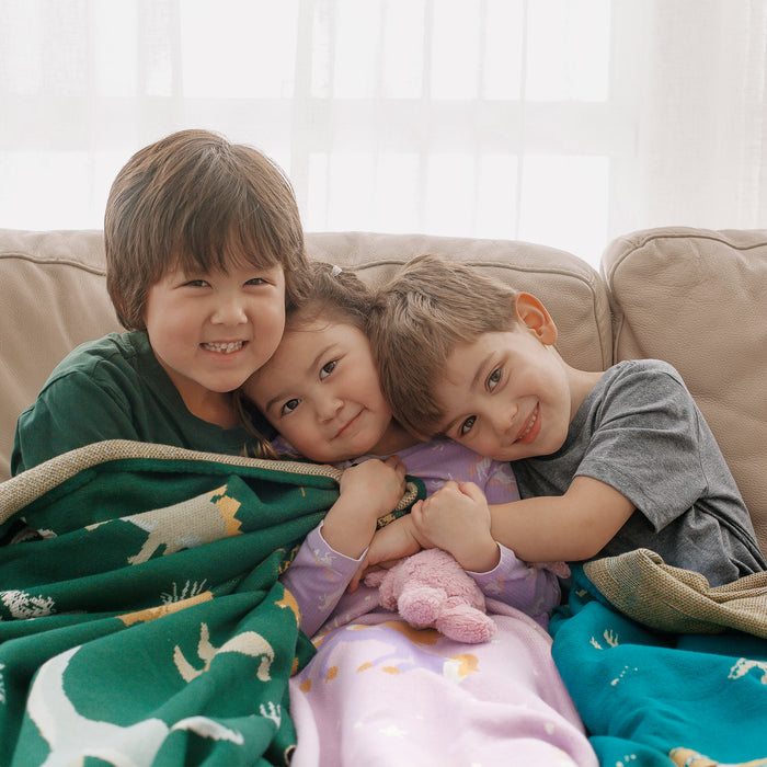 Unicorns Blanket