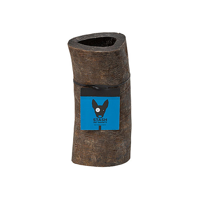 Water Buffalo Horn