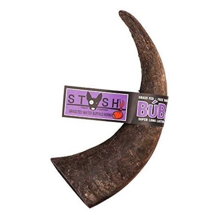 Water Buffalo Horn