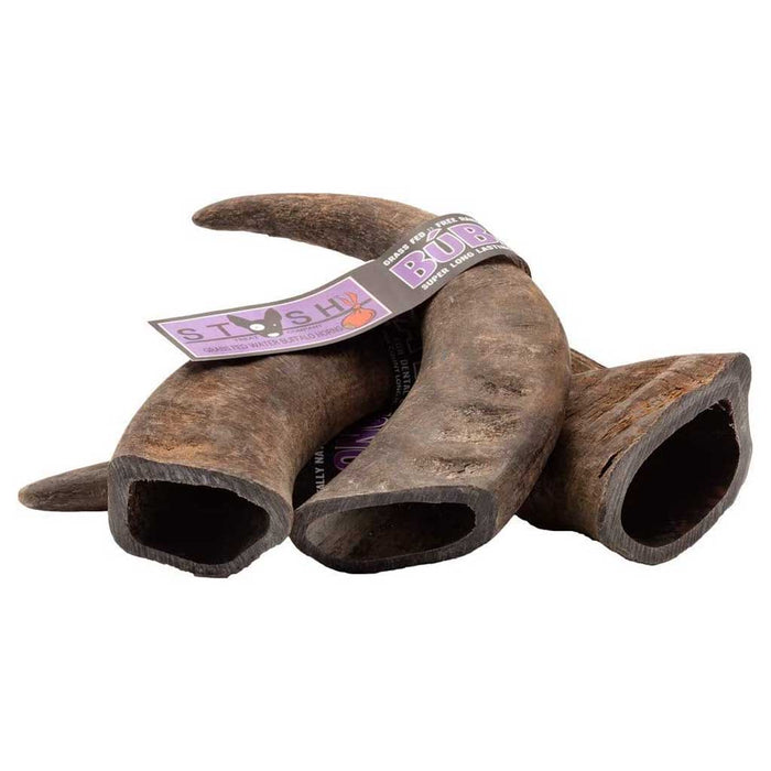 Water Buffalo Horn