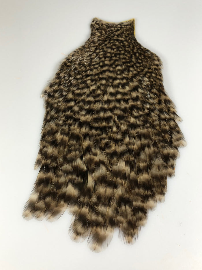 Whiting Bronze American Hen Cape - Older Stock